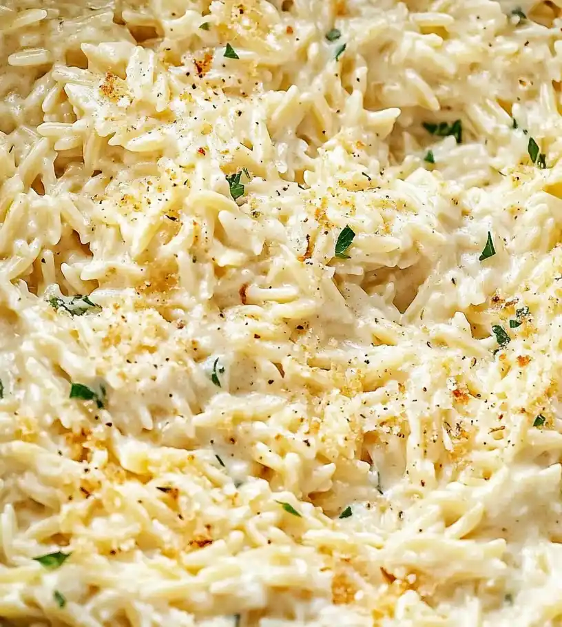 Creamy Garlic Parmesan Orzo close up
