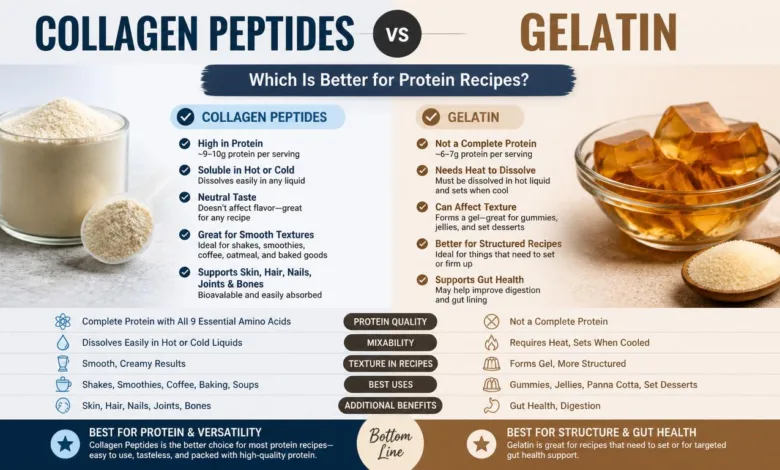 Collagen Peptides vs Gelatin: Which Is Better for Protein Recipes?
